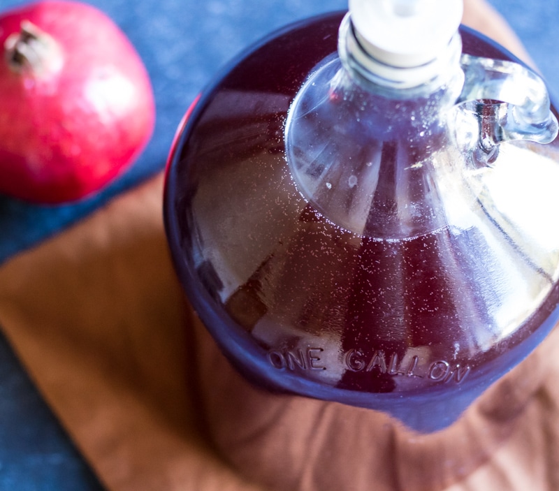 pomegranate wine bubbles in a gallon jug