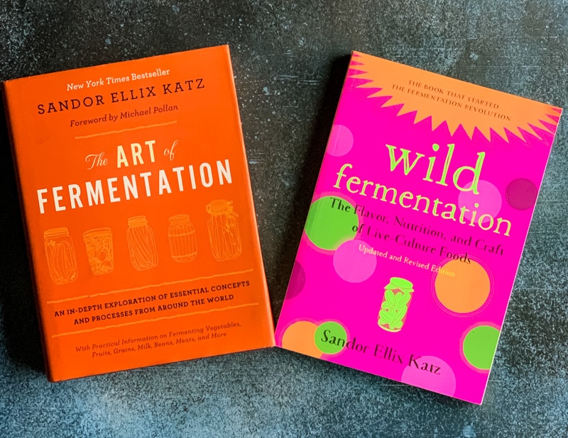 two fermentation books by sandor katz