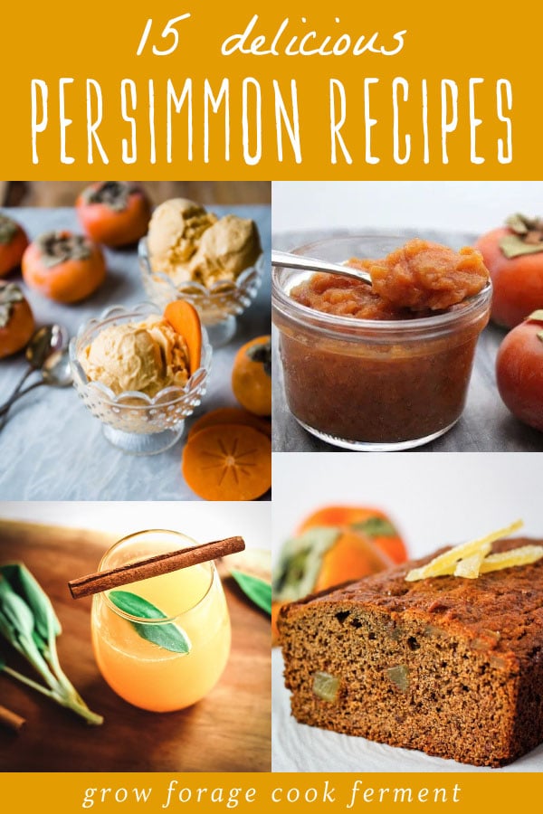 a collage of persimmon recipes