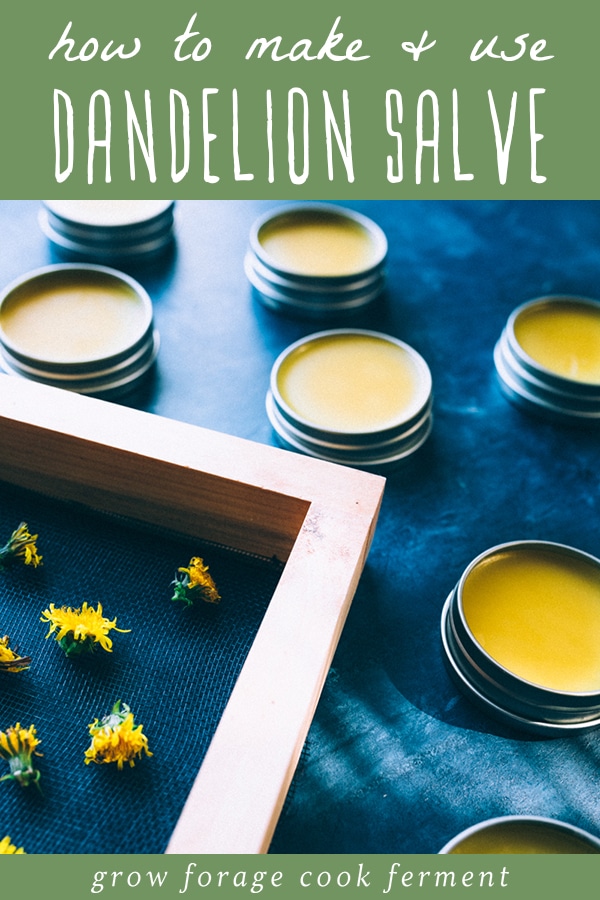 dandelions on a screen and dandelion salve