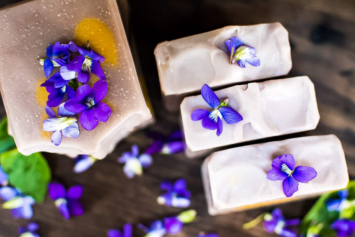 the tops of homemade wild violet soap