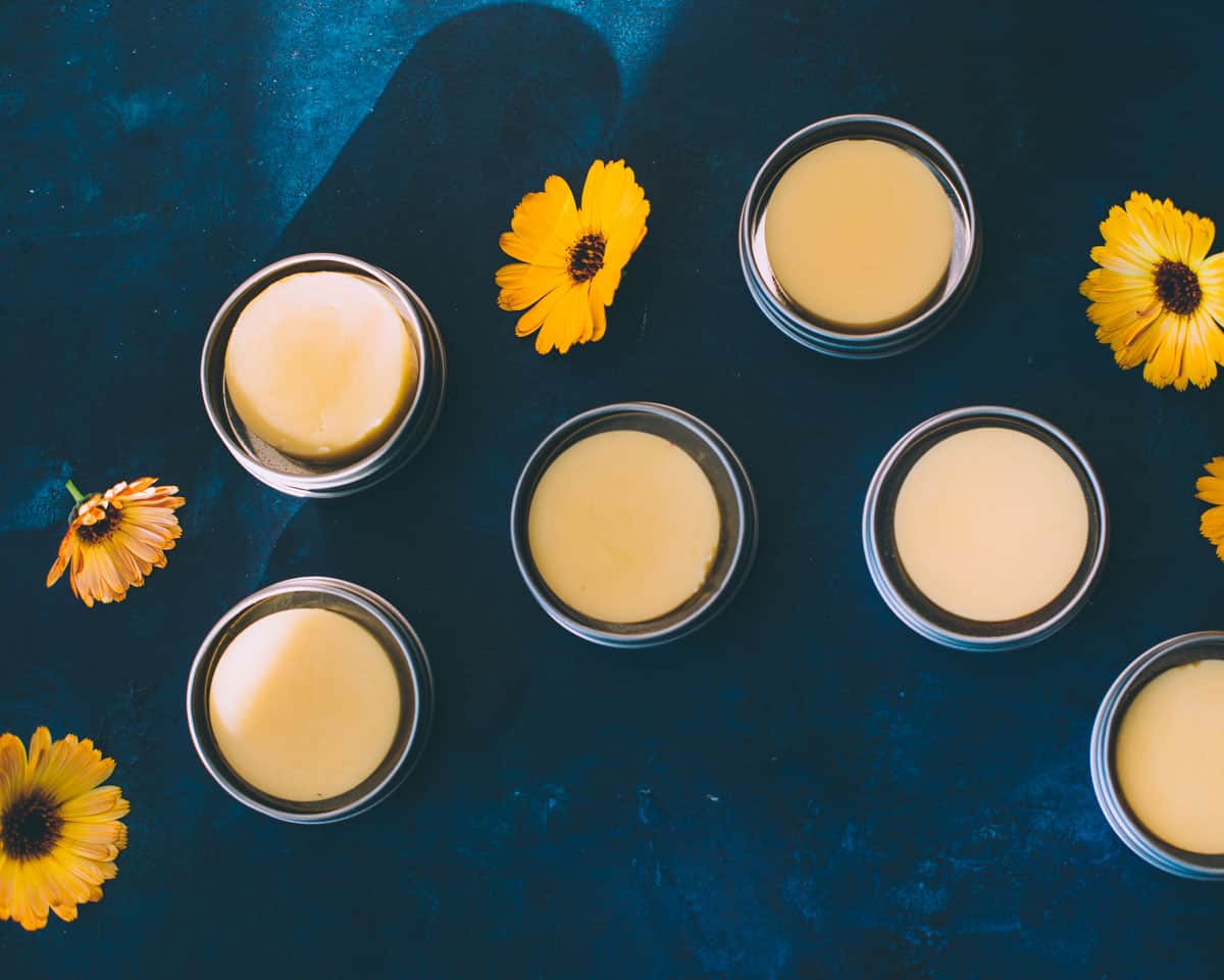 calendula lotion bars on a blue background