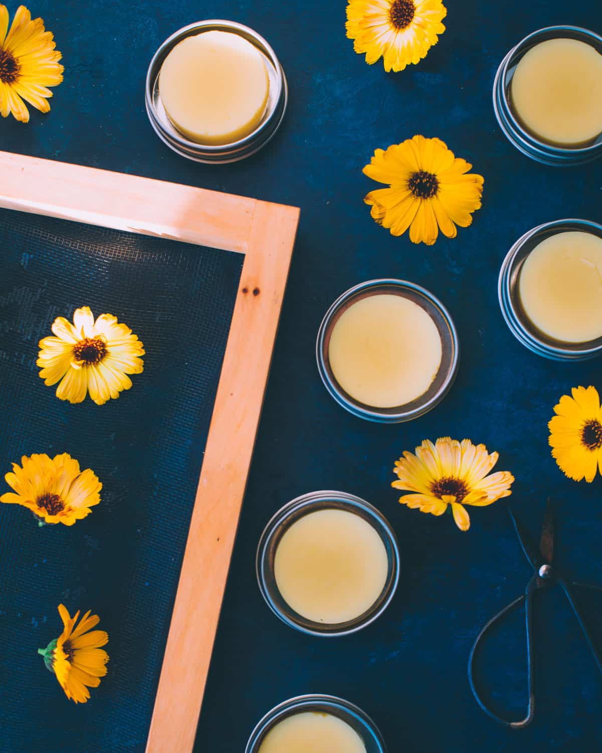 calendula lotion bars with flowers and scissors