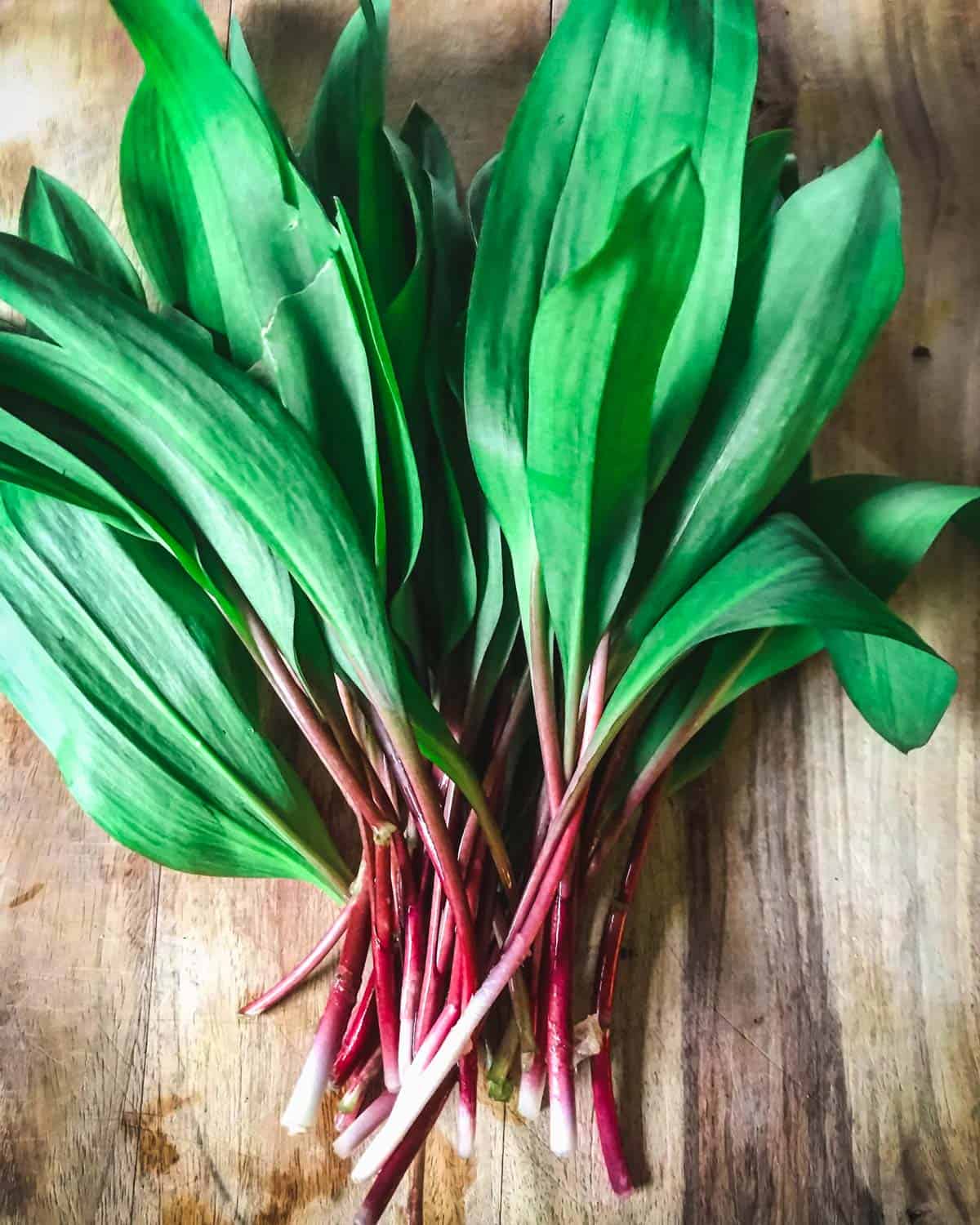 foraged ramps on a cutting board