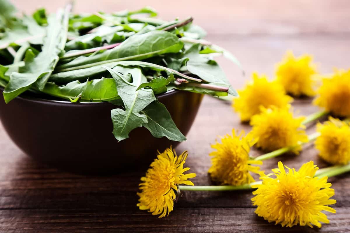 a bowl of dandelion greens with flowers nearby