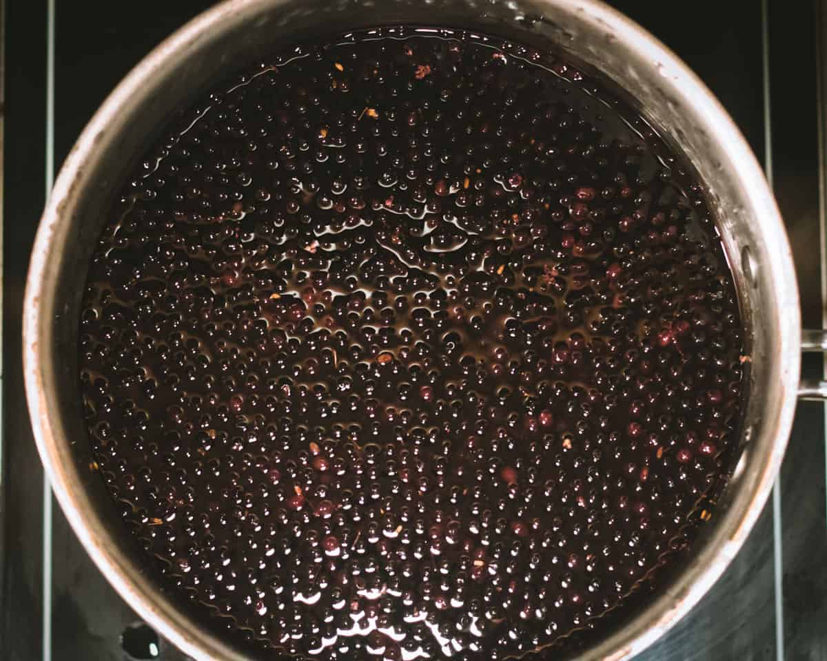 elderberries and water in a pot