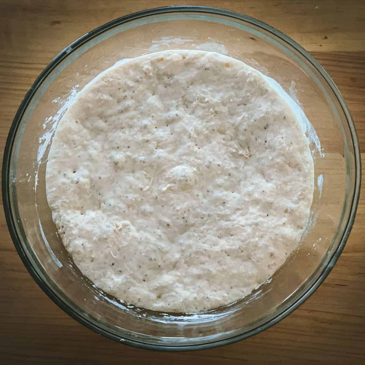 bubbly sourdough pizza dough in a bowl