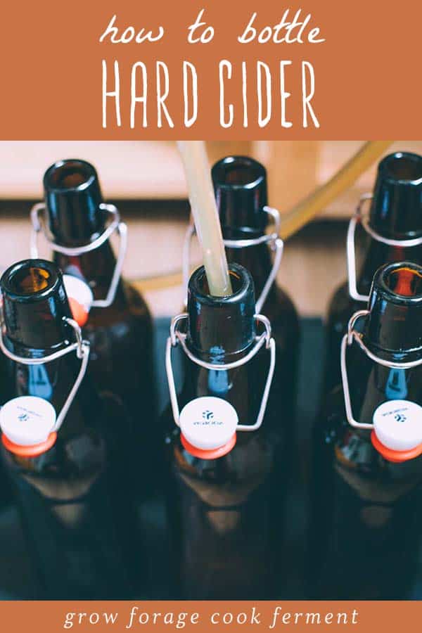 bottling hard cider