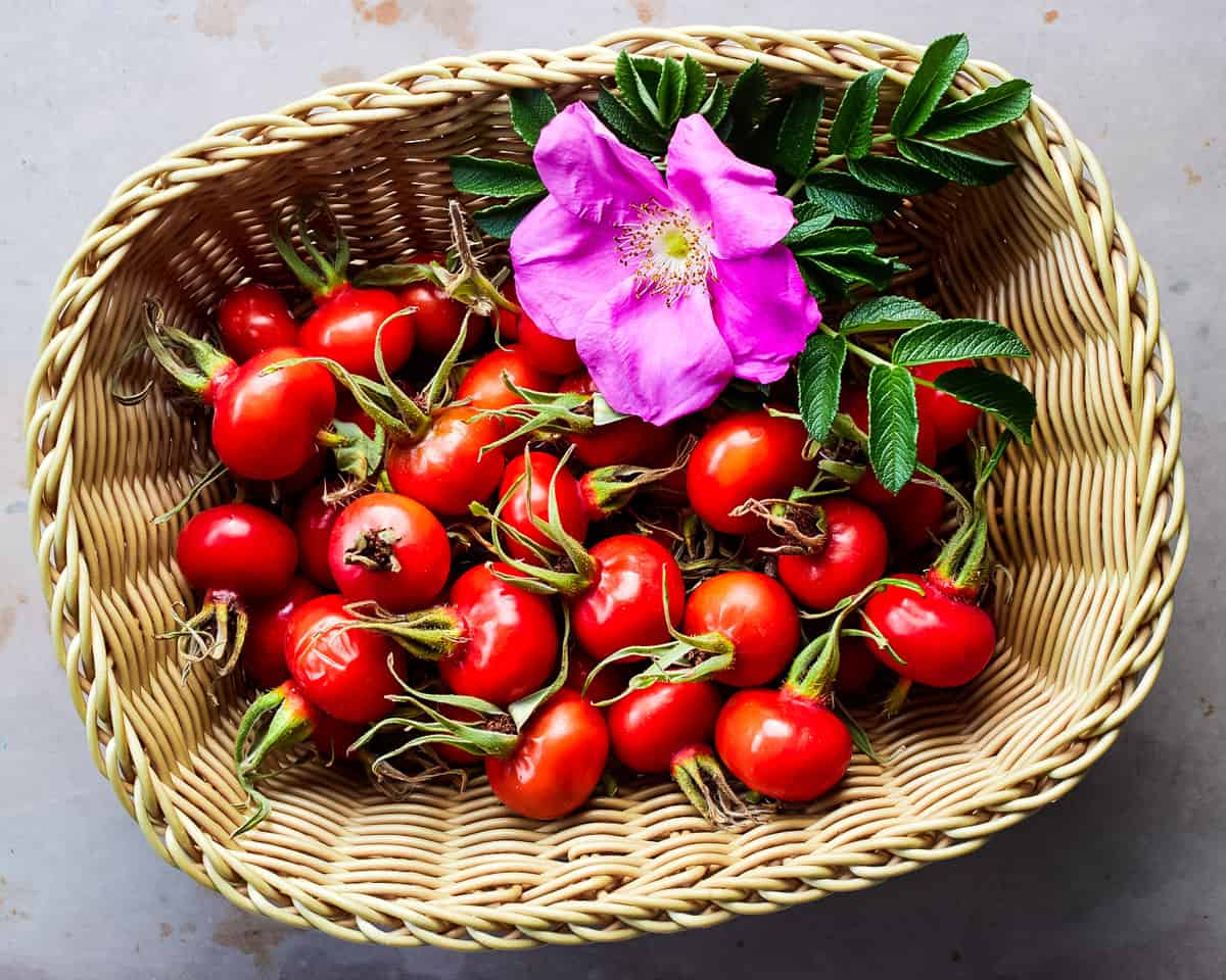 a basket of rose hips and a single wild rose flower