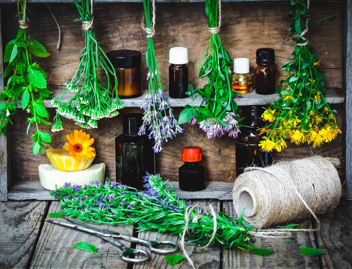 bundles of herbs hanging near tinctures and other bottles