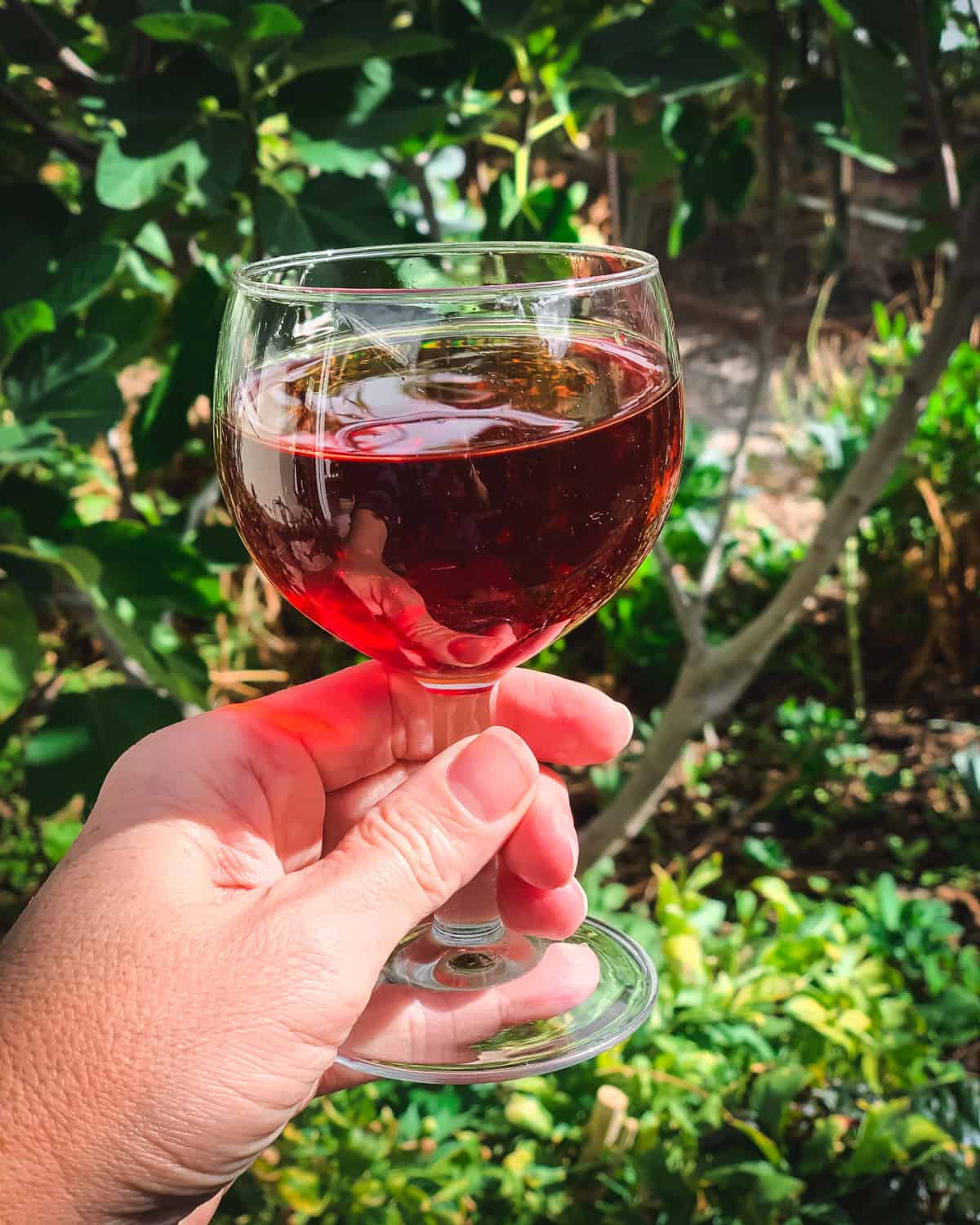 a hand holding a glass of pomegranate wine