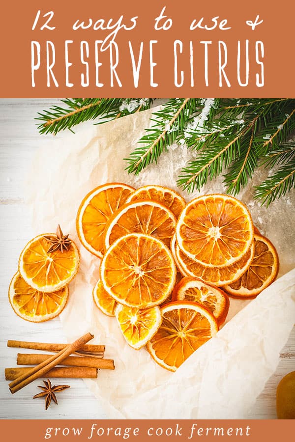 12 ways to use and preserve citrus