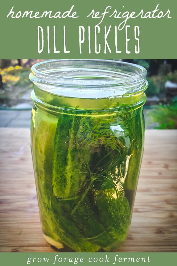 a quart jar of homemade refrigerator dill pickles