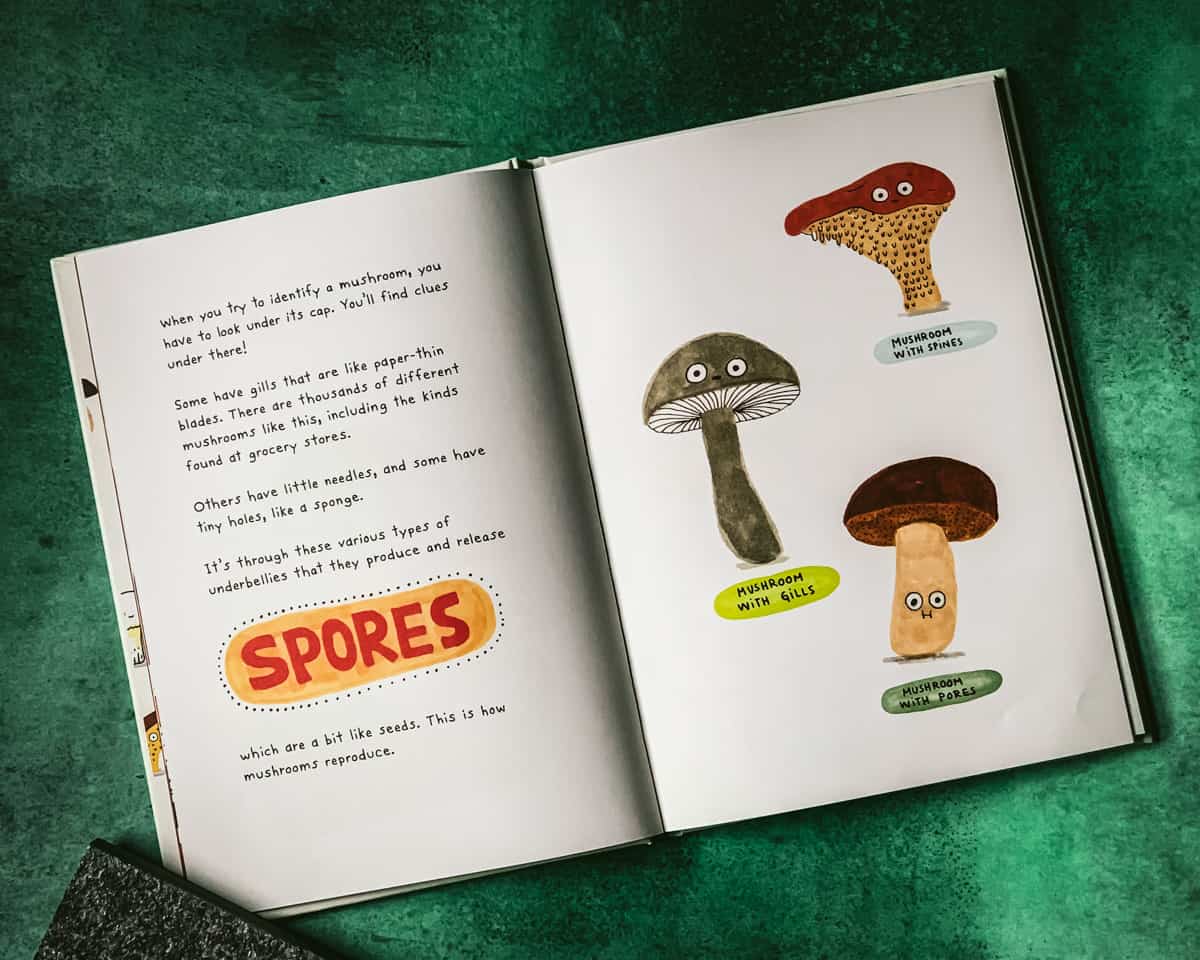the mushroom fan club opened to a page on mushrooms spores